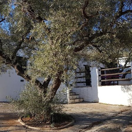 Gateway To The Alpujarras, 'Cortijo Derry' Hotel Orgiva Exterior foto