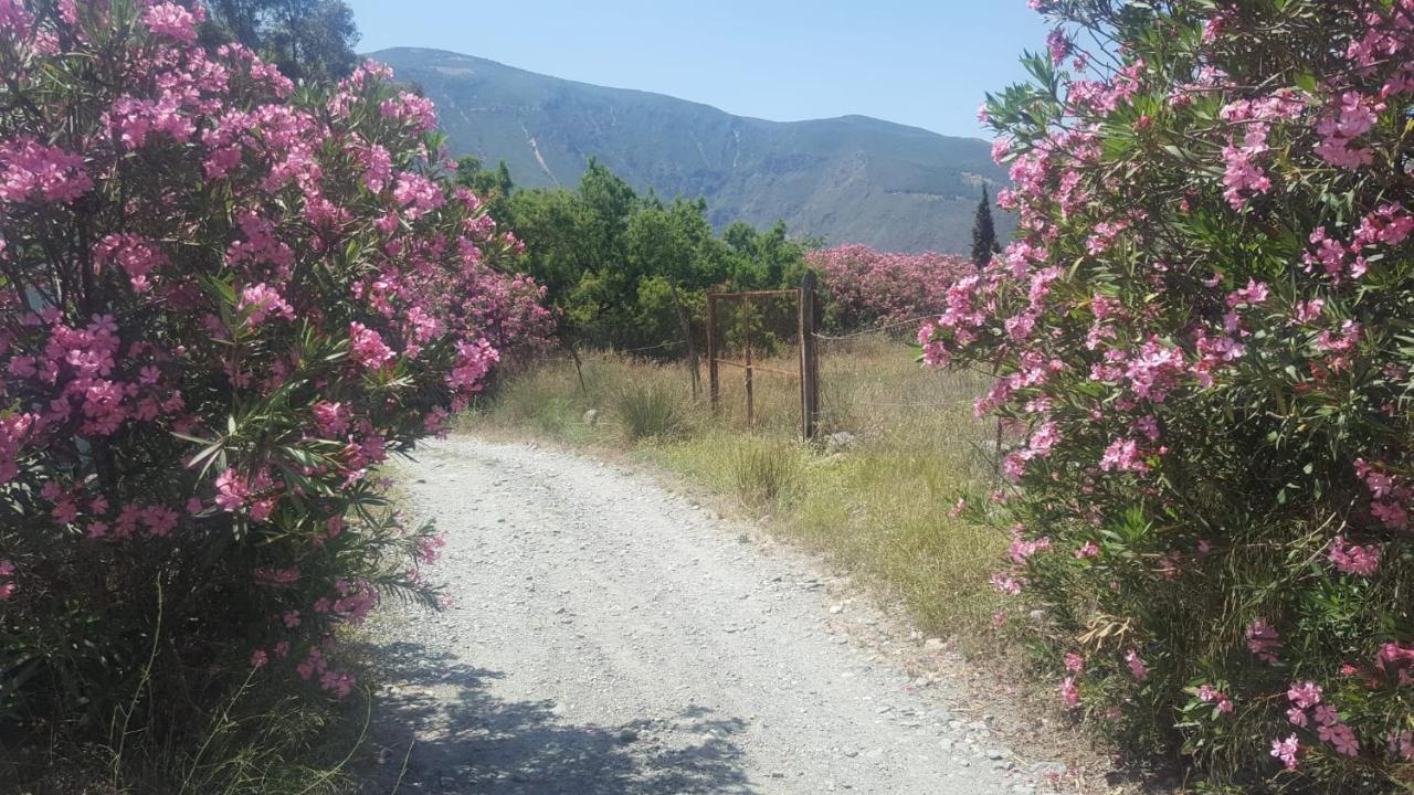 Gateway To The Alpujarras, 'Cortijo Derry' Hotel Orgiva Exterior foto